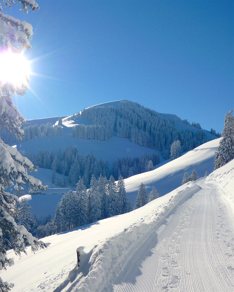 Schneeschuhwandern in Rigi Klösterli