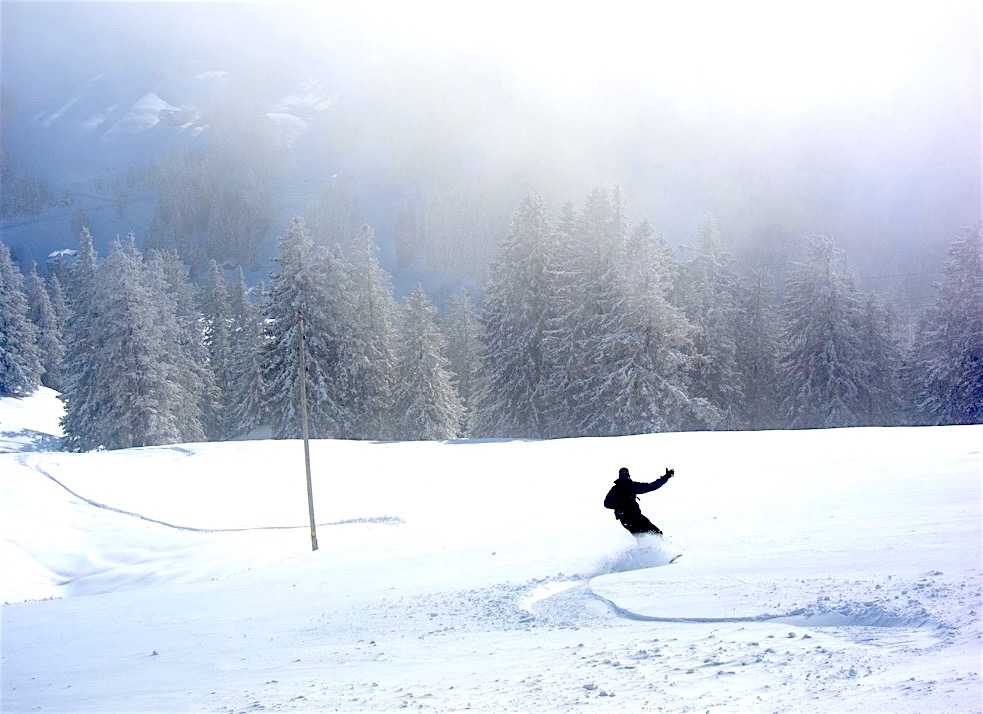 Rigi Snowboard