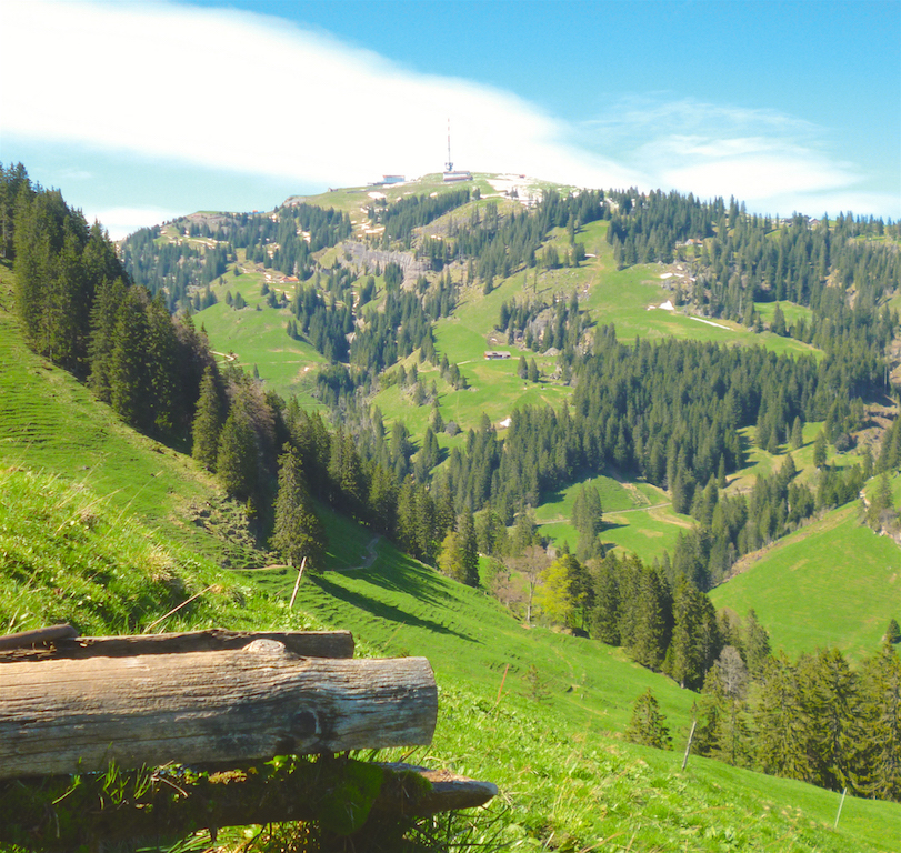 Wanderungen zur Rigi Kulm